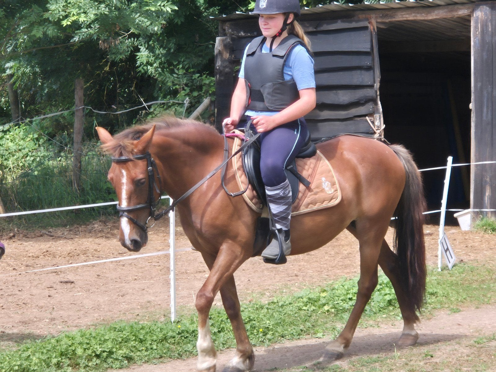 leuke c pony