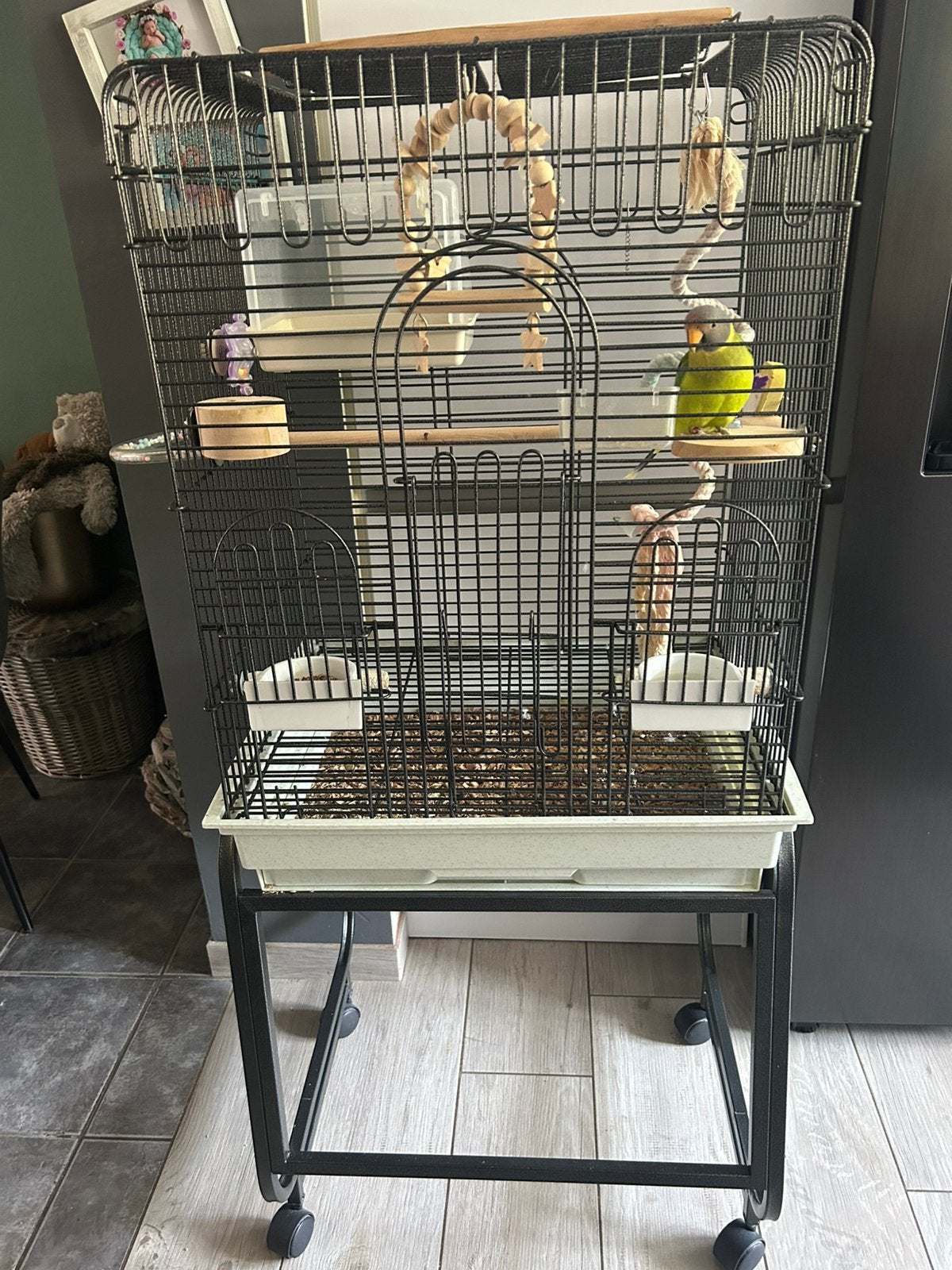 Cage oiseaux, Enlèvement, Comme neuf