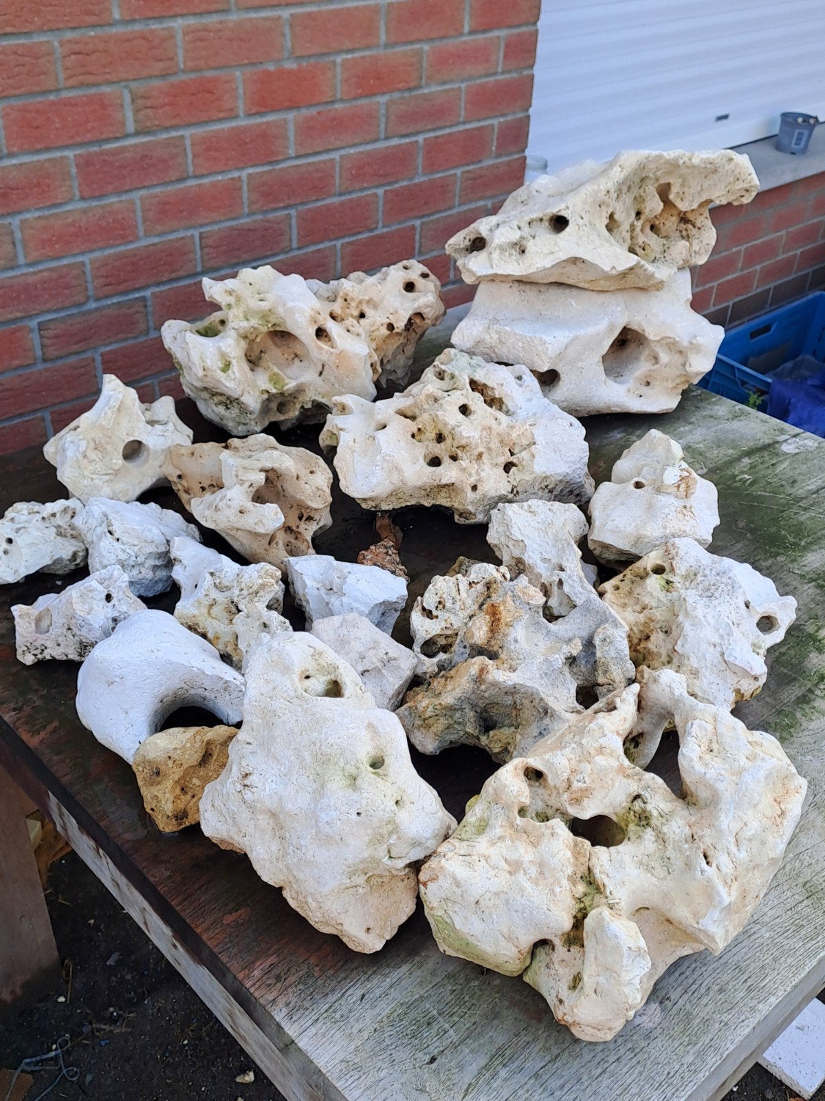 maanstenen, Dieren en Toebehoren, Ophalen
