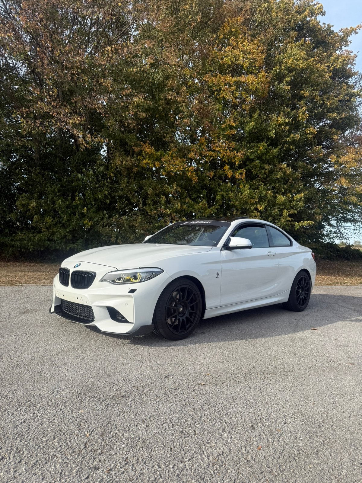 Bmw 218i, Ophalen, BMW