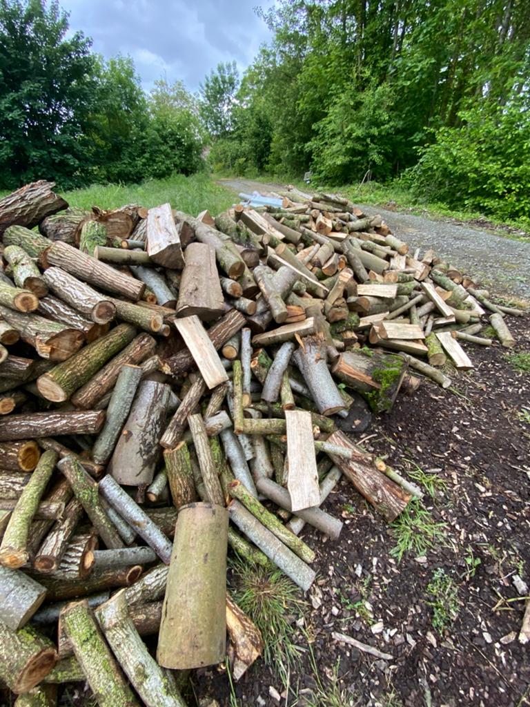 Mélange de bois dur a vendre, Enlèvement