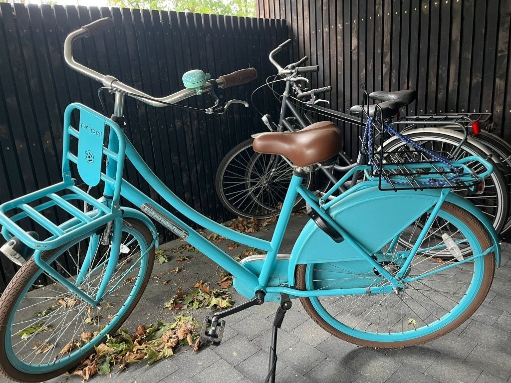 Fiets, Autres marques, Frein à rétropédalage, Enlèvement, 47 à 50 cm