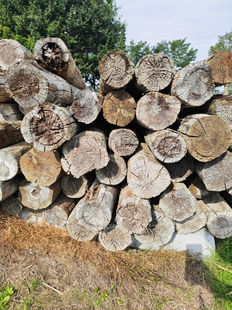 Houten palen 3m, Dieren en Toebehoren, Stalling