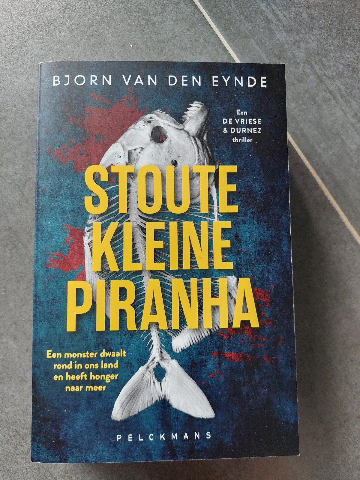 Stoute Kleine Piranha - Bjorn Van den Eynde, Enlèvement ou Envoi