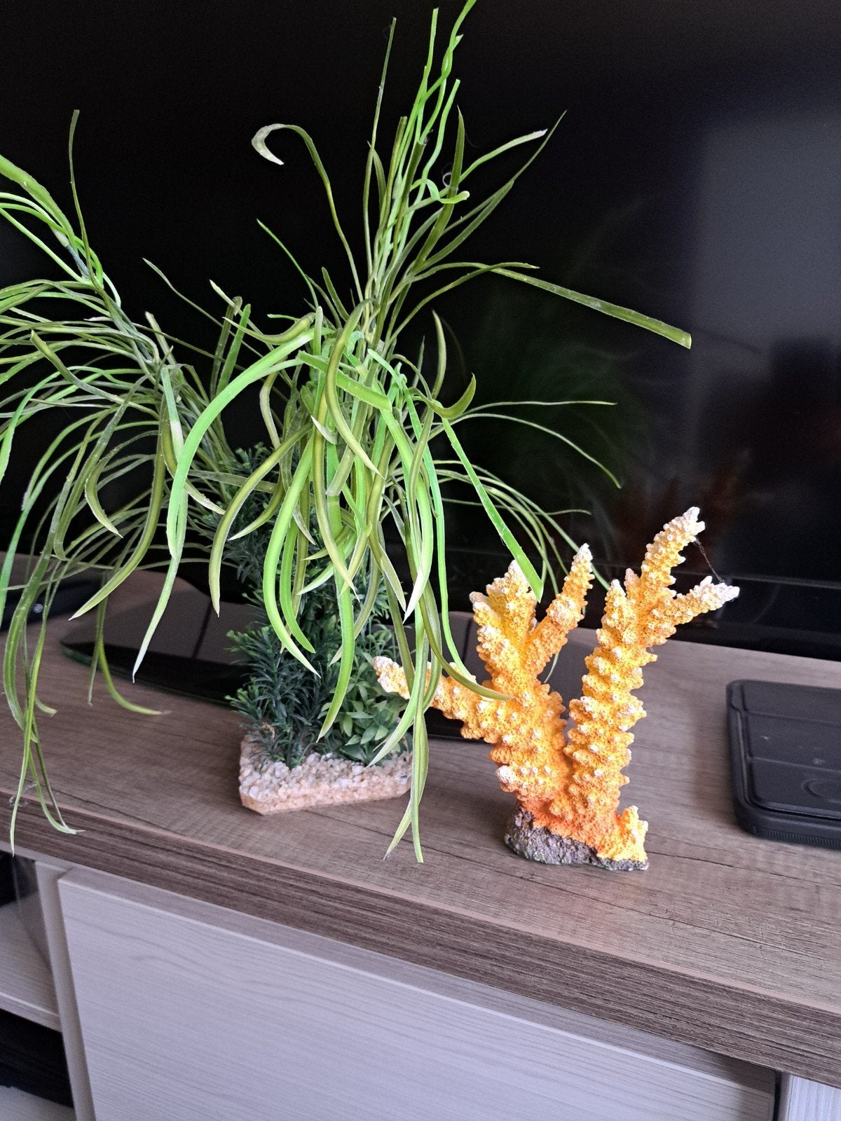 aquarium deco, Ophalen