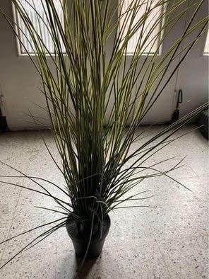 Plantes, artificielles, Enlèvement, Comme neuf