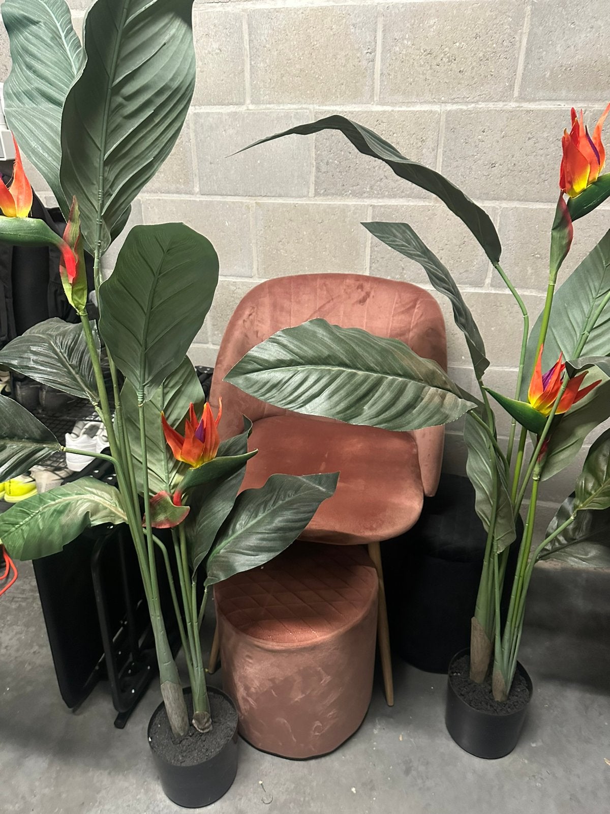 2 kunstplanten, Maison & Meubles, Enlèvement, Utilisé