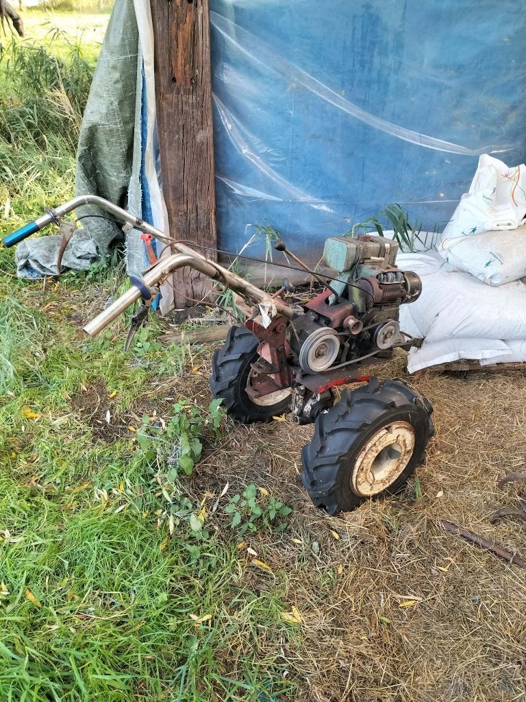 Tuinfrees Bernard W19, Tuin en Terras, Ophalen, Gebruikt, Benzine, Bernard