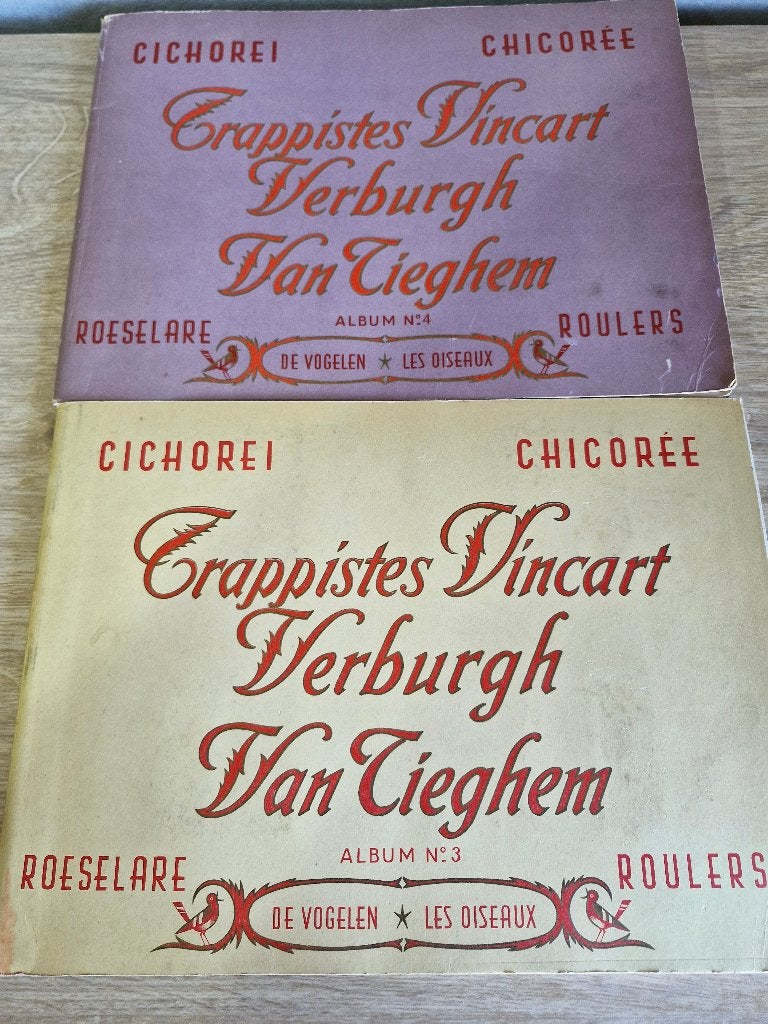Boeken Vogelen Cichorei, Enlèvement