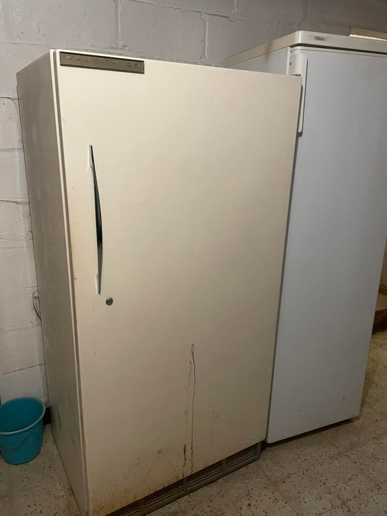 Frigo vintage, Electroménager, Classe énergétique A ou plus économe, 160 cm ou plus, Sans bac à congélation, Enlèvement
