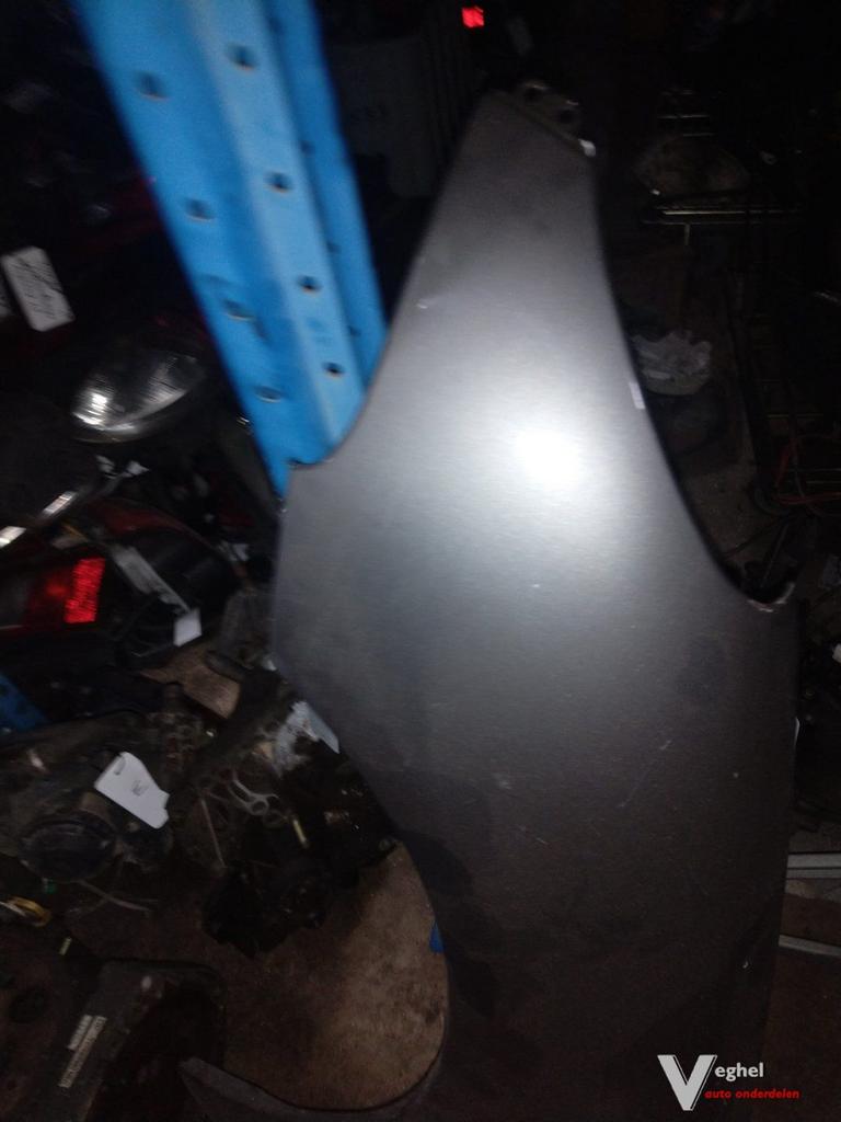 Peugeot 206  Scherm Linksvoor, Auto-onderdelen, Ophalen, Gebruikt, -, -