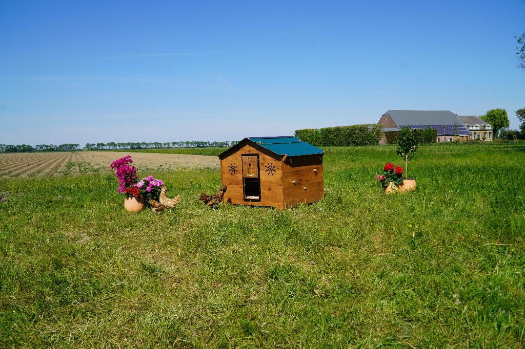 Trespa Kippenhok Cucciolotta | Chalet 2XL, Dieren en Toebehoren, Pluimvee | Toebehoren, Ophalen of Verzenden
