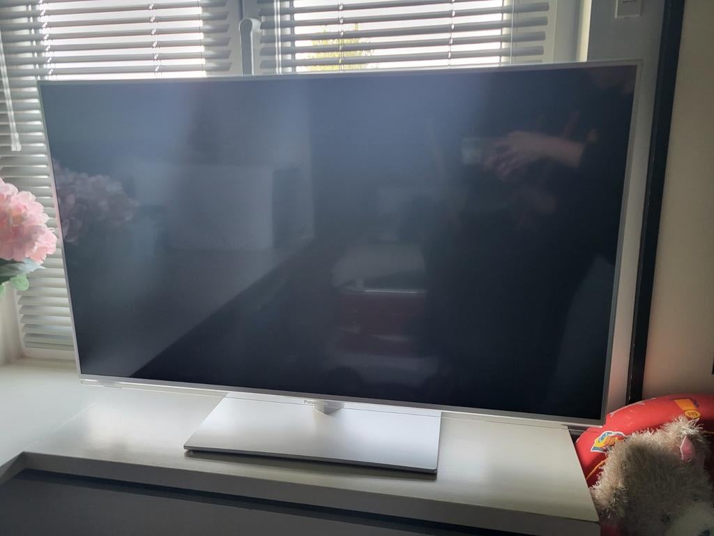 Panasonic tv, Audio, Tv en Foto, Ophalen