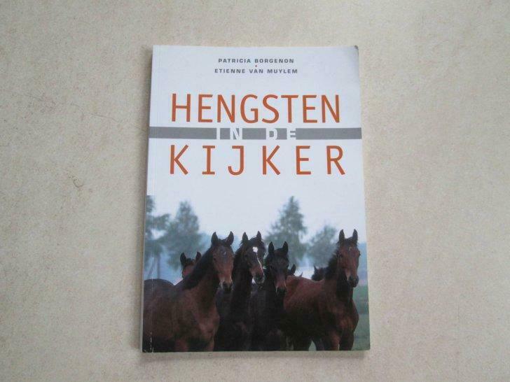 Boek : Hengsten in de kijker, Ophalen of Verzenden, Gebruikt
