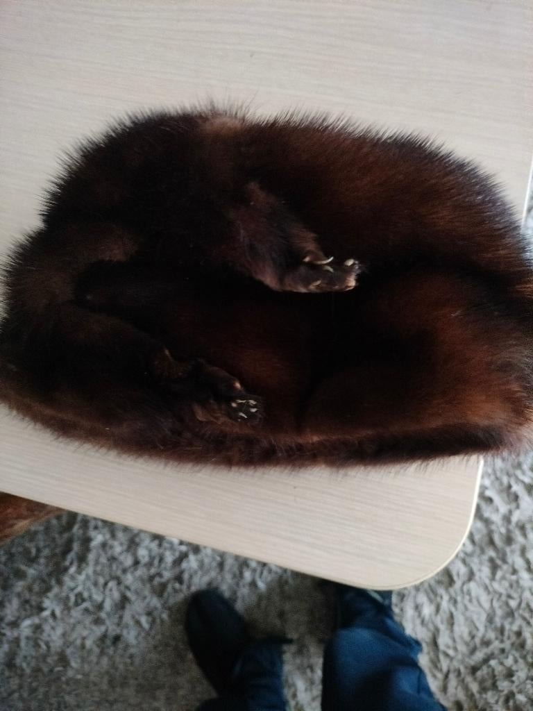 Chapeau en fourrure, Enlèvement, Comme neuf, Bonnet