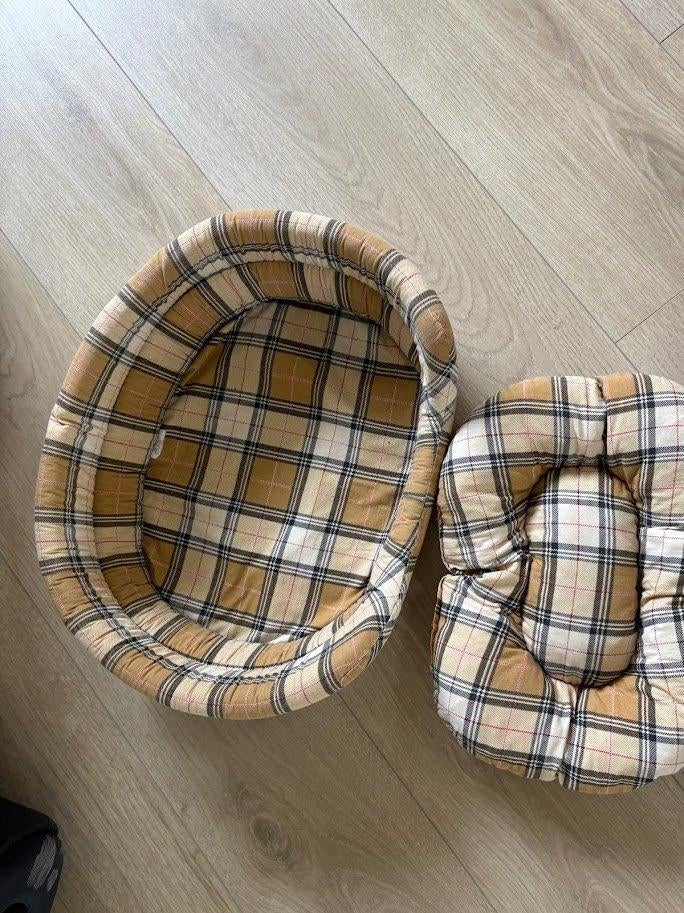 Accessoires pour chiots, Enlèvement, Utilisé