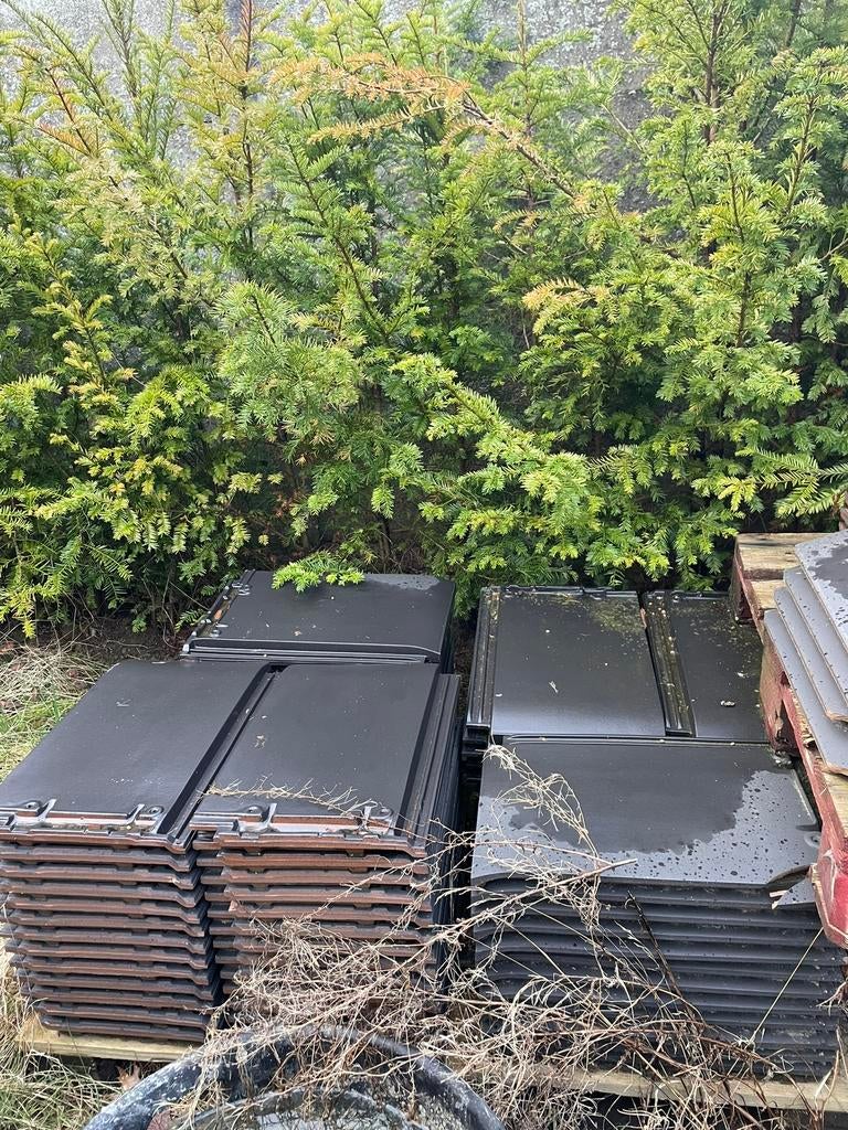 Dakpannen Edilians – antracietgrijs – 300 stuks, Ophalen, Dakpannen