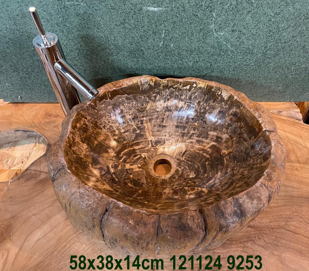 Bois pétrifié, tel qu'un évier ou un plateau décoratif, Enlèvement, Fossile