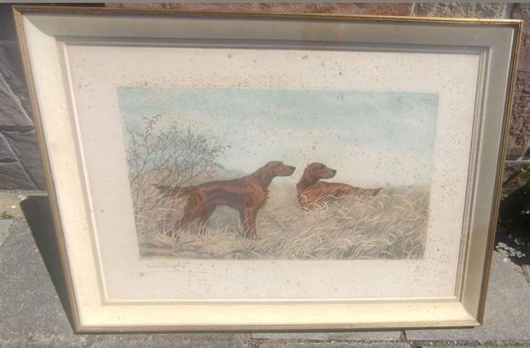 Gravure chien de chasse signe Léon danchin, Antiek en Kunst, Kunst | Etsen en Gravures, Ophalen