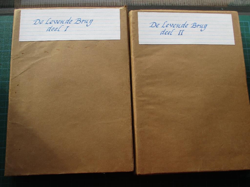 De Levende Brug - Deel I & II, Ophalen of Verzenden, Gelezen, Overige typen
