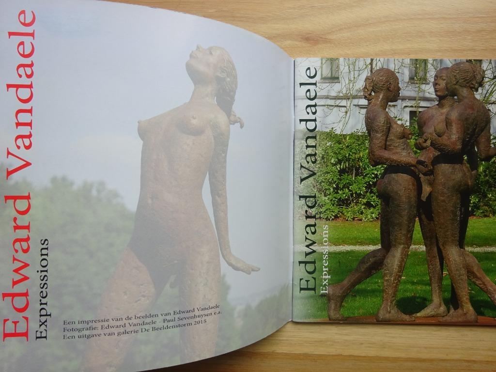Edward Vandaele, Expressions, 2015 beelden, Boeken, Ophalen of Verzenden, Nieuw, Beeldhouwkunst