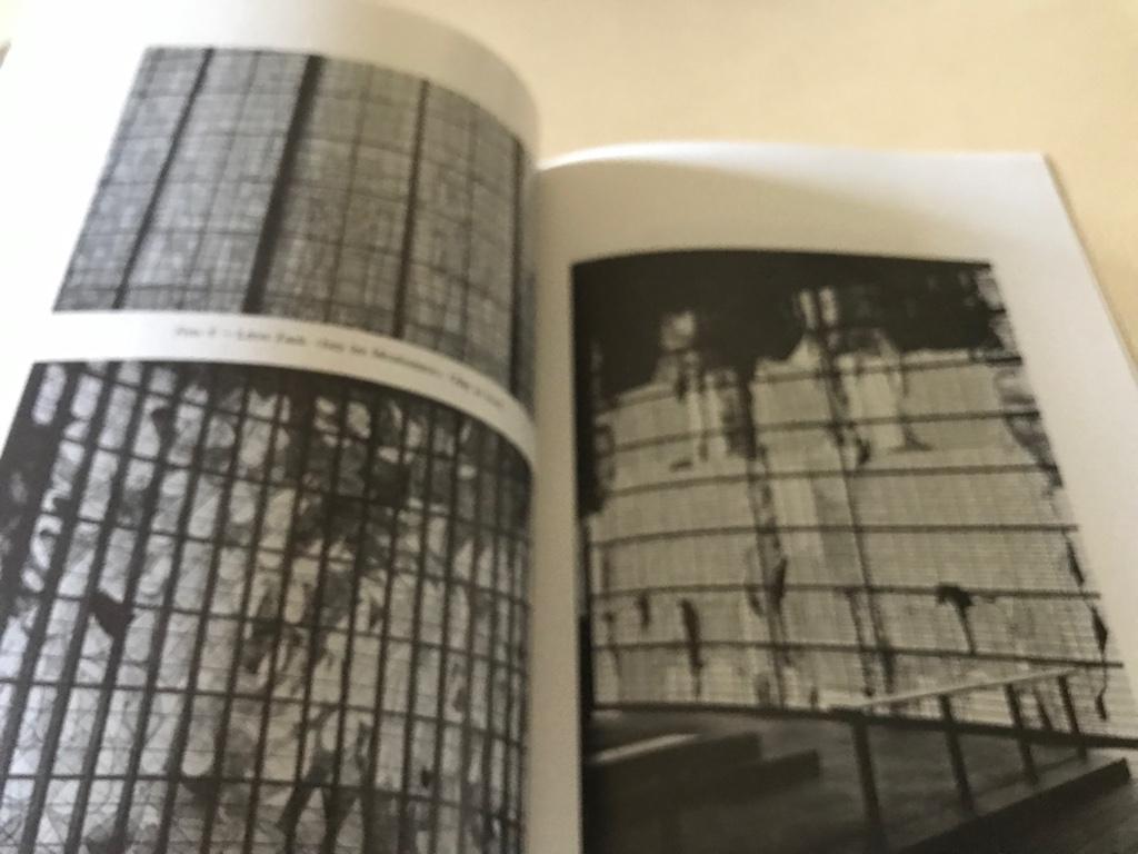 Michel Martens spiegelsculpturen privé uitgave 45pag, Ophalen of Verzenden, Zo goed als nieuw, Beeldhouwkunst