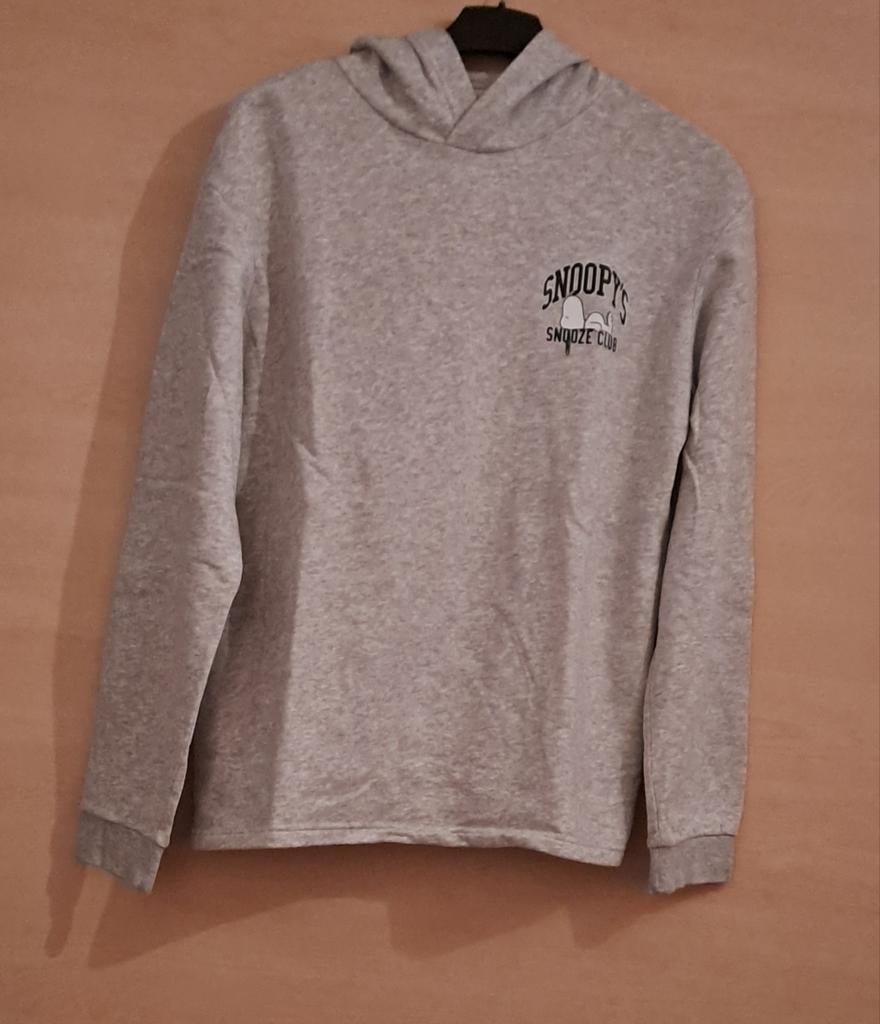 【Pull Snoopy (taille 170), Enfants & Bébés, Vêtements enfant | Taille 170, Garçon, Enlèvement ou Envoi, Pull ou Veste, H&M