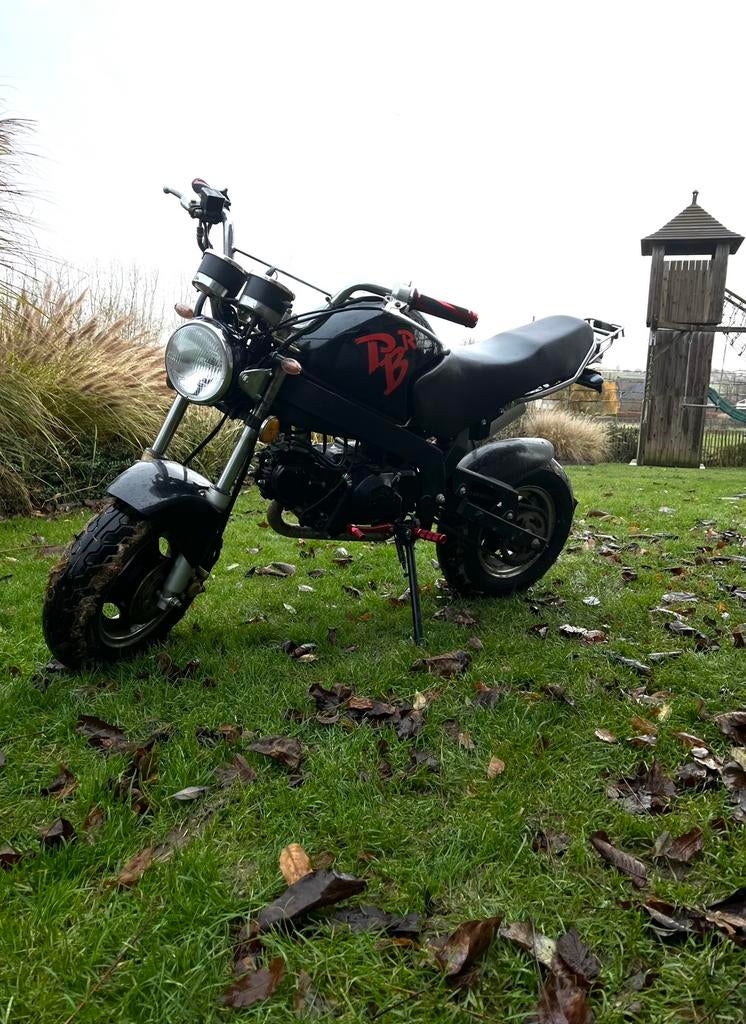 Skyteam PBR 50 cc, Neuf, Autres modèles, 4 vitesses, Classe B (45 km/h)