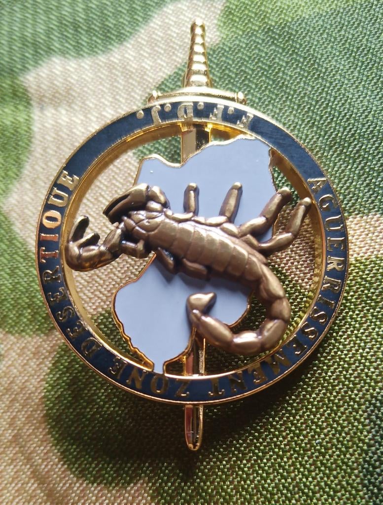 Brevet d'aguerrissement en zone désertique, Collections, Armée de terre, Emblème ou Badge