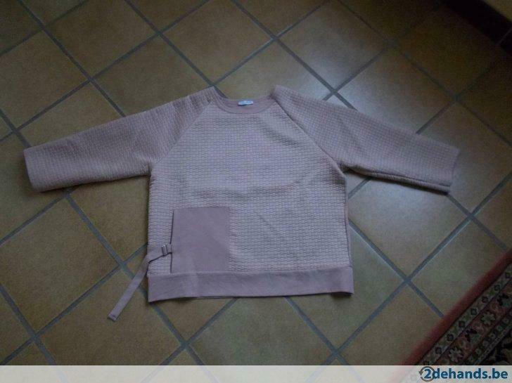 Zara roze blouses maat eur. M  nu € 4, Kleding | Dames, Maat 38/40 (M), Zara, Ophalen of Verzenden, Roze