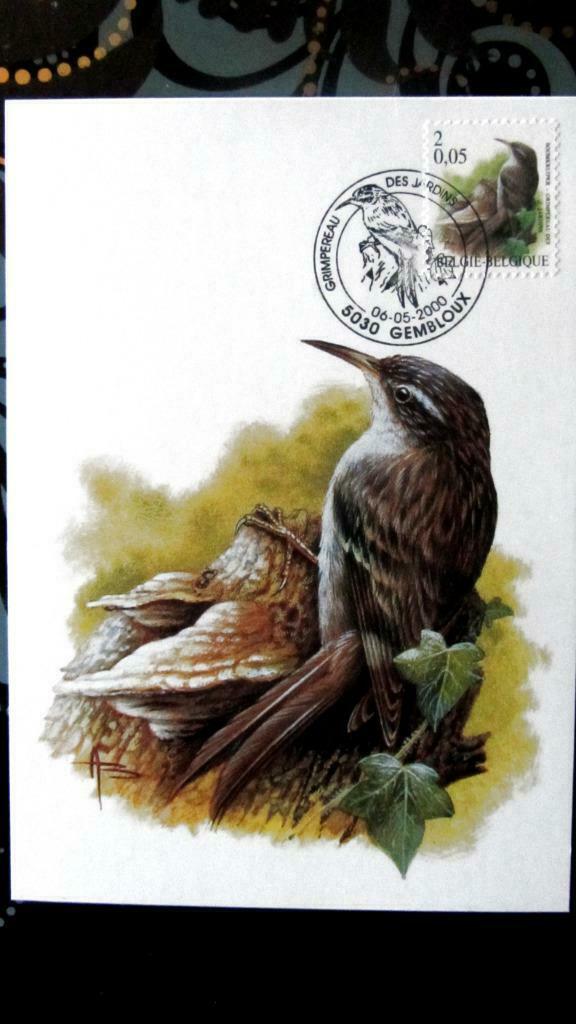 FIRST DAY OP KAART- VOGELS VAN BUZIN- DE BOOMKRUIPER, Ophalen of Verzenden, Gestempeld, Dier of Natuur