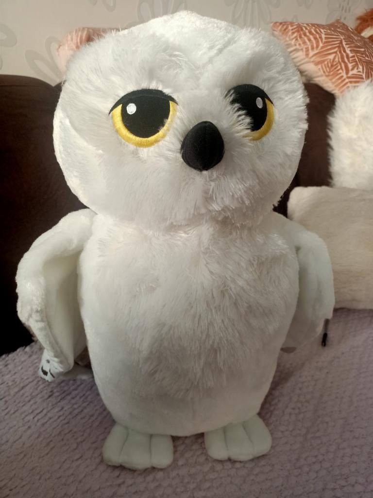 Nieuw Harry Potter Herwig uil, Ophalen