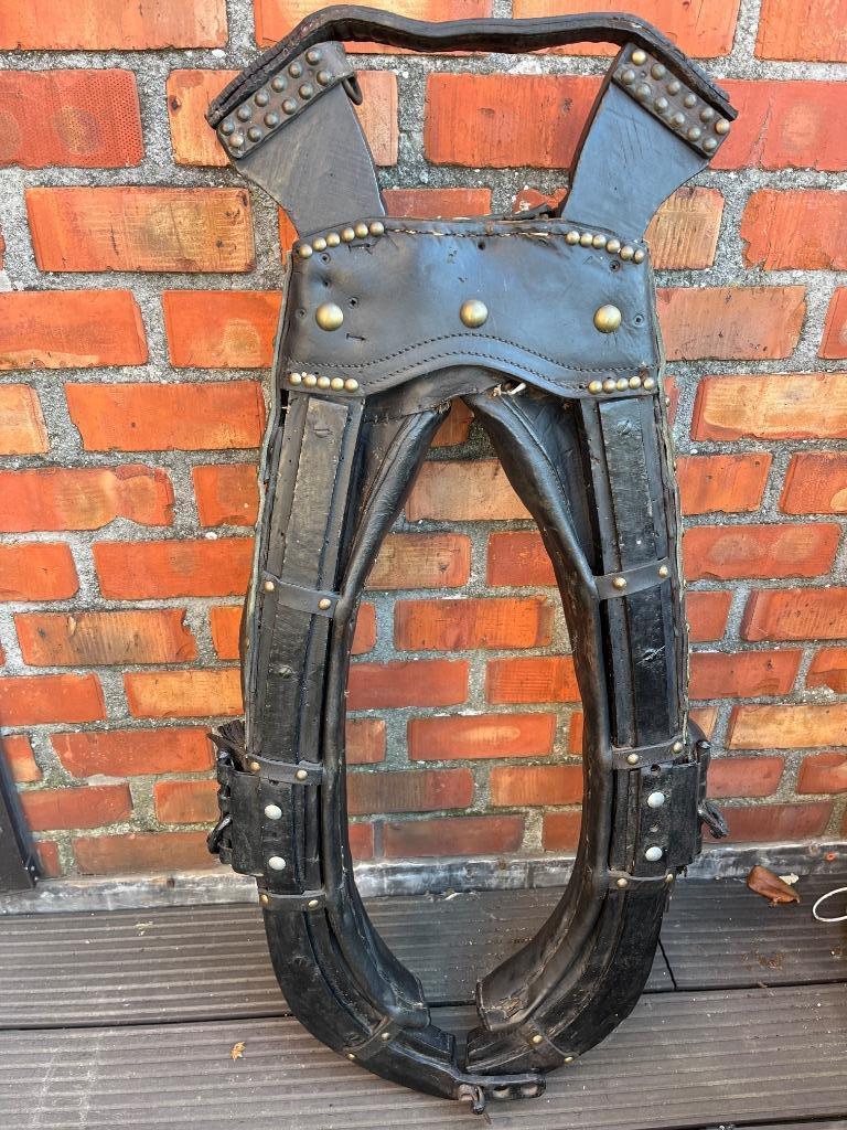 paardenhaam, Ophalen, Gebruikt, Overige soorten