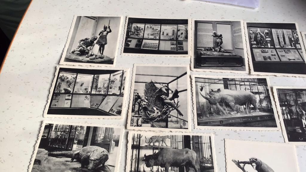 Snap shots museum Tervuren (x2a), Verzamelen, Ophalen of Verzenden