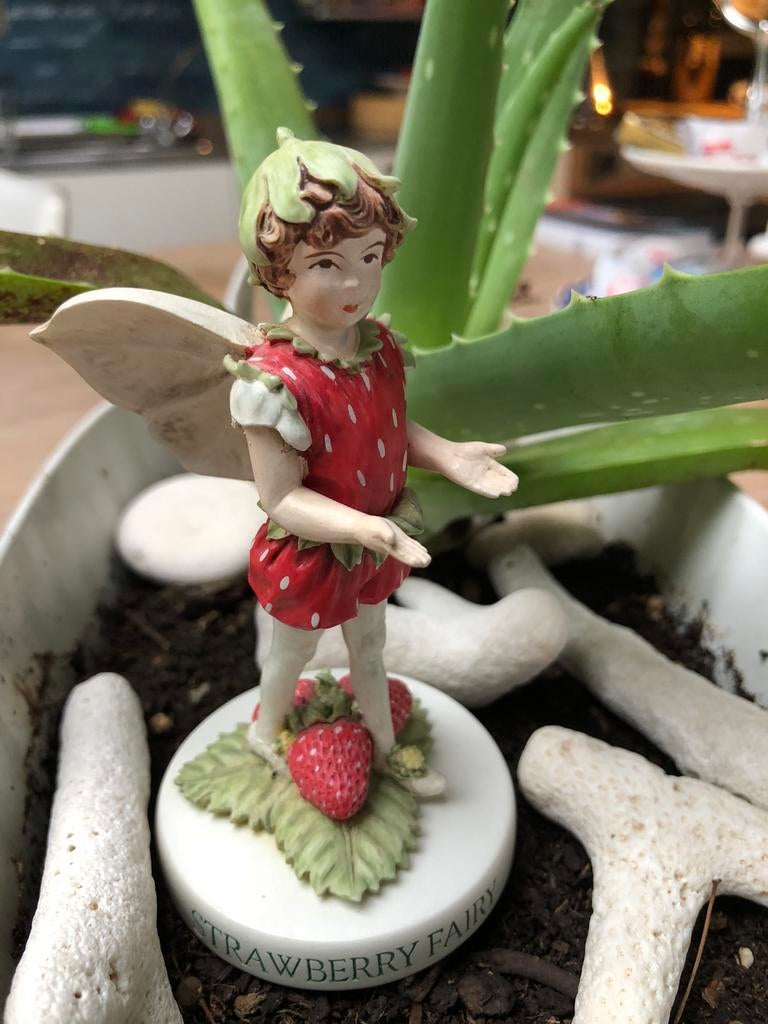 Bloemen Elfje van Cecily Mary Barker, Verzamelen, Ophalen of Verzenden, Zo goed als nieuw