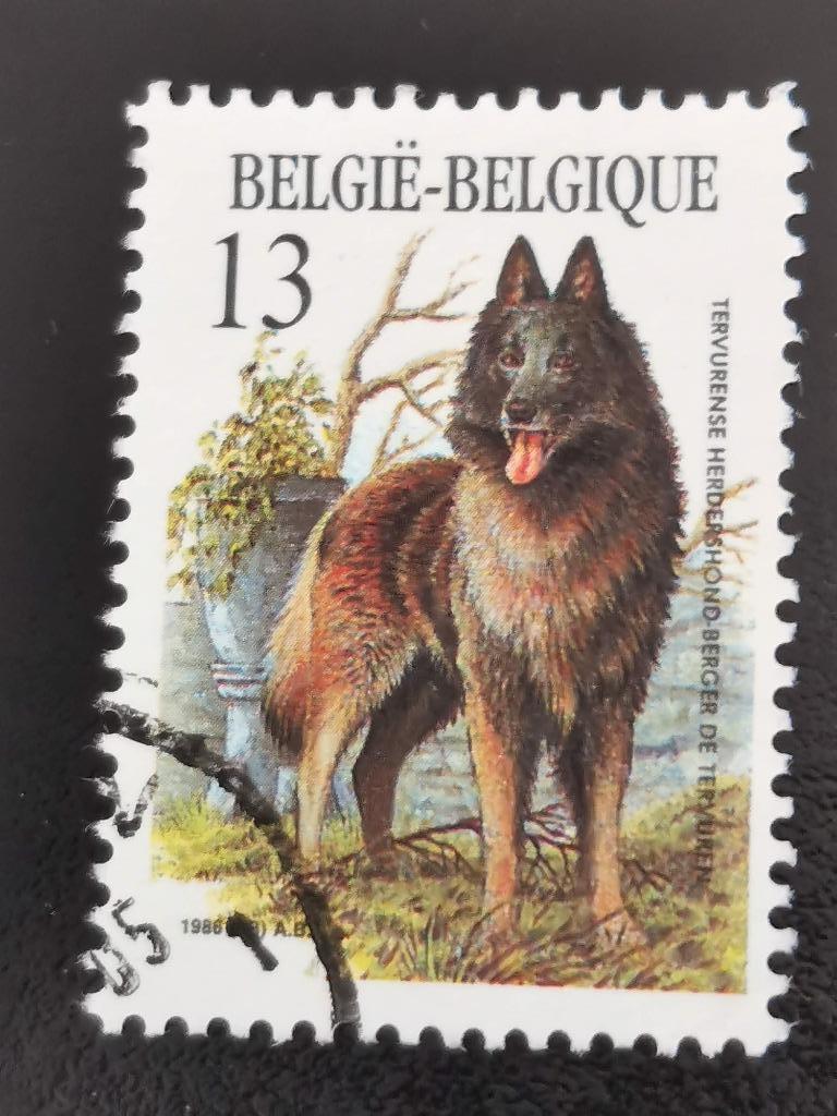 Belgique 1986 - chiens - Berger de Tervuren, Enlèvement ou Envoi, Affranchi
