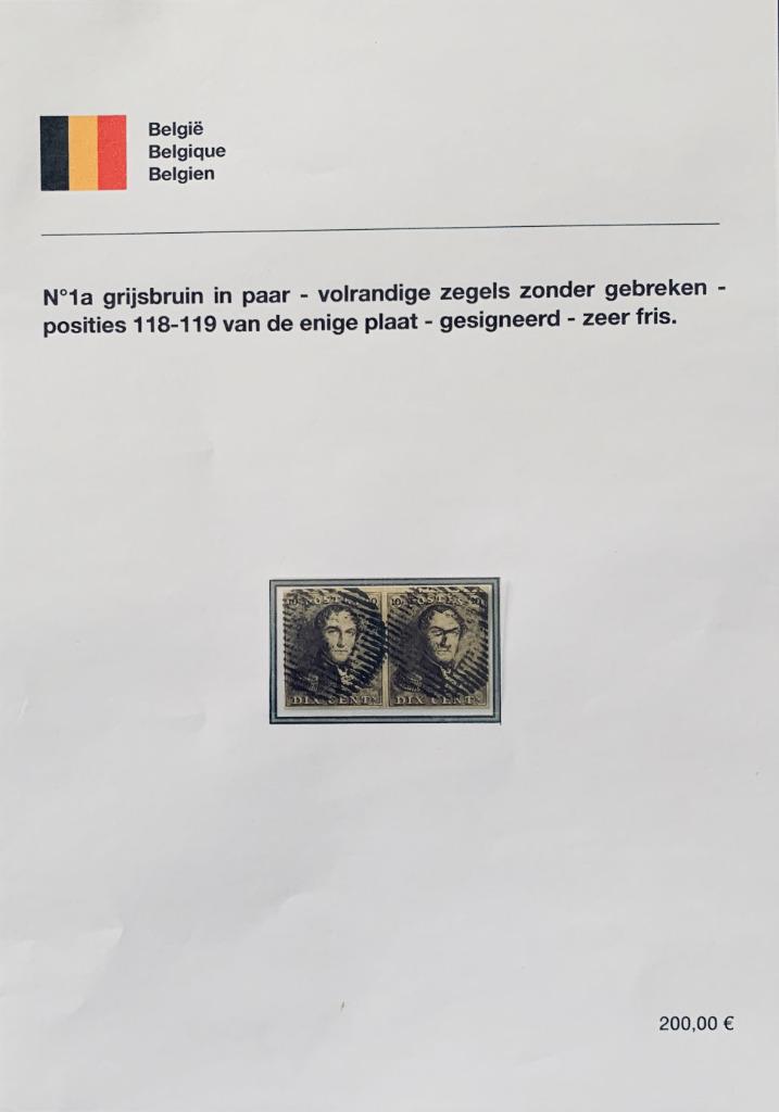OCB 1a grijsbruin in paar OCB pos.118-119, Postzegels en Munten, Met stempel, Verzenden, Frankeerzegel, Gestempeld