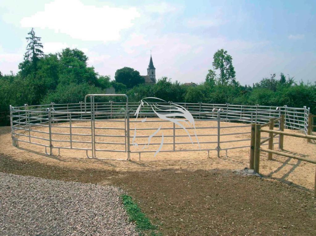 Longeercirkel, Texas Paneel, Panelen, Vangkooi, Box, Weidegang, 4 paarden of pony's of meer