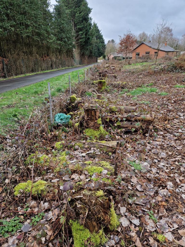 BOIS DE CHAUFFAGE OU DE COUPEAUX  A DONNER, Jardin & Terrasse, 6 m³ ou plus, Enlèvement, Autres essences de bois, Troncs d'arbres