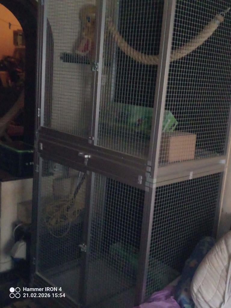 Twee groot kooi, Dieren en Toebehoren, Ophalen, Nieuw, Aluminium, Volière