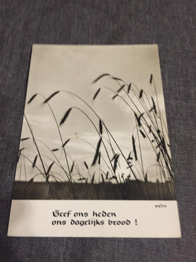 oude postkaart Tirol Geef ons heden ons dagelijks brood, Antiek en Kunst, Ophalen of Verzenden
