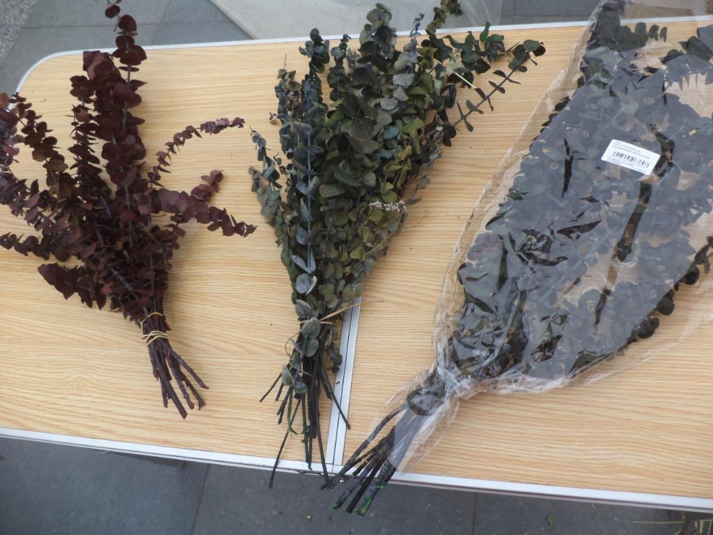 Eucalyptus spiralus gedroogd, Ophalen of Verzenden, Nieuw