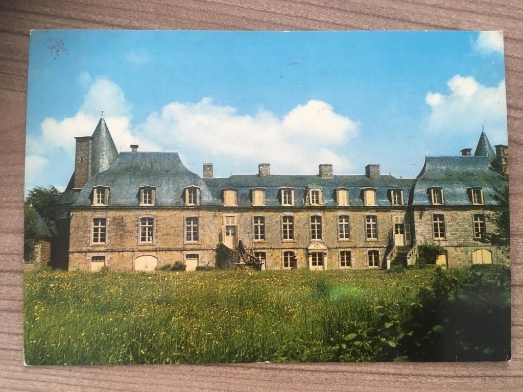 postkaart Mauron - Neant sur Yvel - kasteel -Bretagne, Ophalen of Verzenden