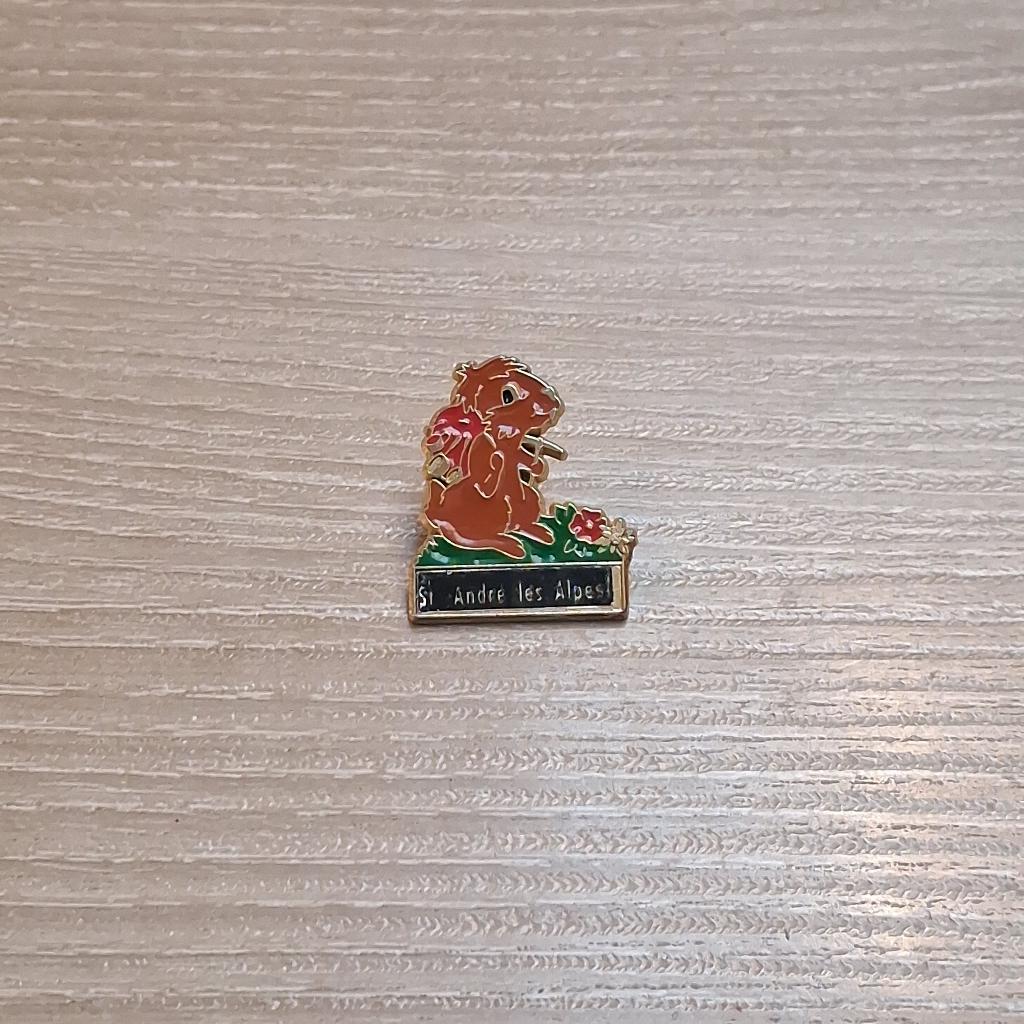 PIN - SAINT-ANDRÉ-LES-ALPES - FRANCE - FRANKRIJK - MARMOT, Verzenden, Gebruikt, Stad of Land, Speldje of Pin