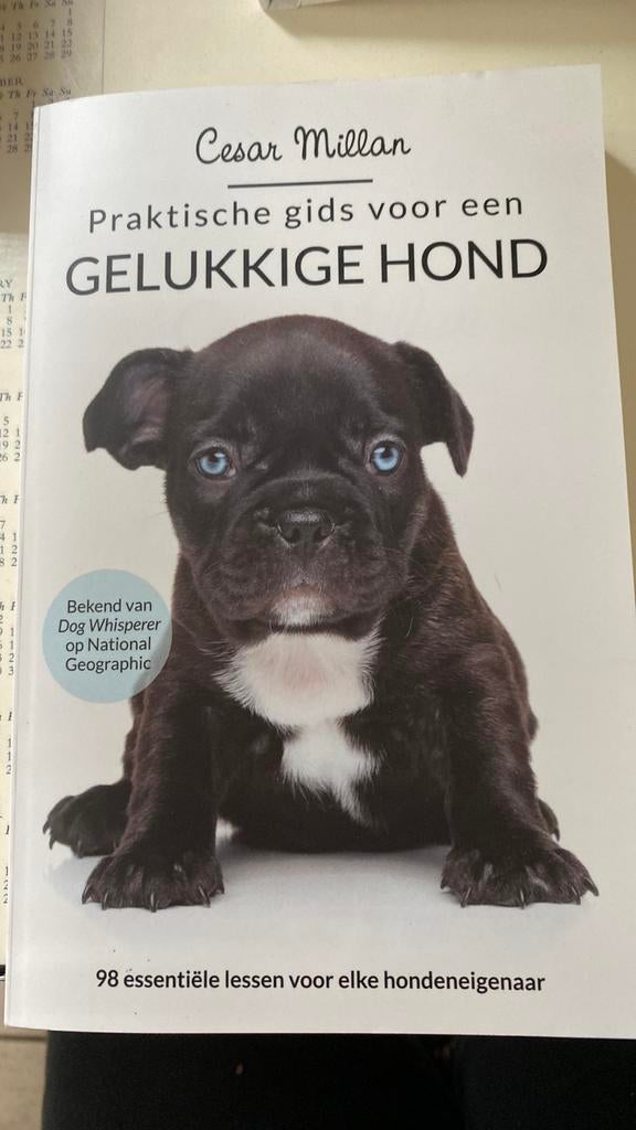 Cesar Millan - Praktische gids voor een gelukkige hond, Boeken, Ophalen of Verzenden, Zo goed als nieuw, Cesar Millan