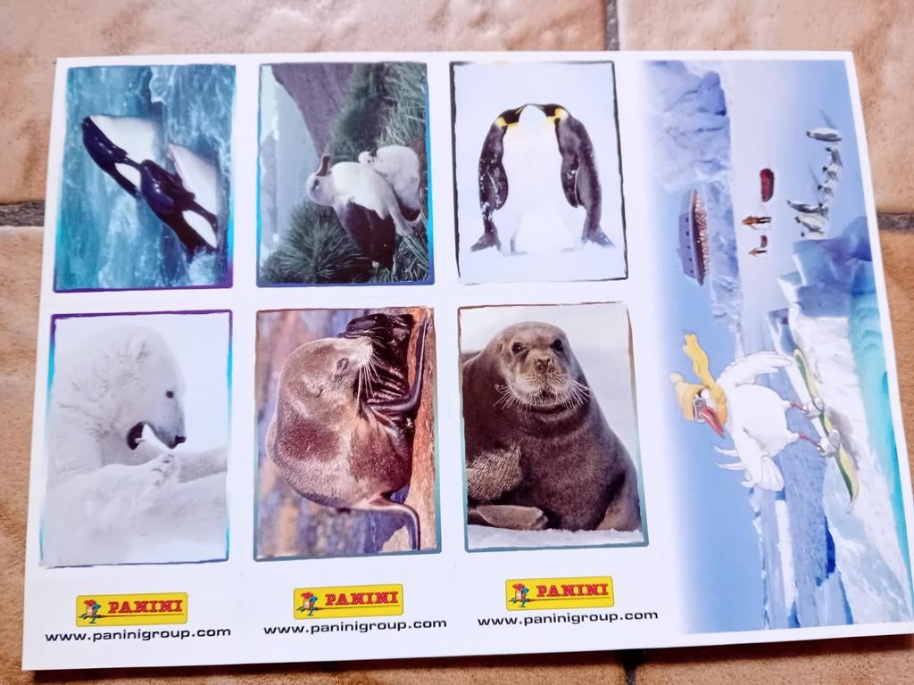 6 vignettes panini "animaux", Collections, Neuf, Animal et Nature