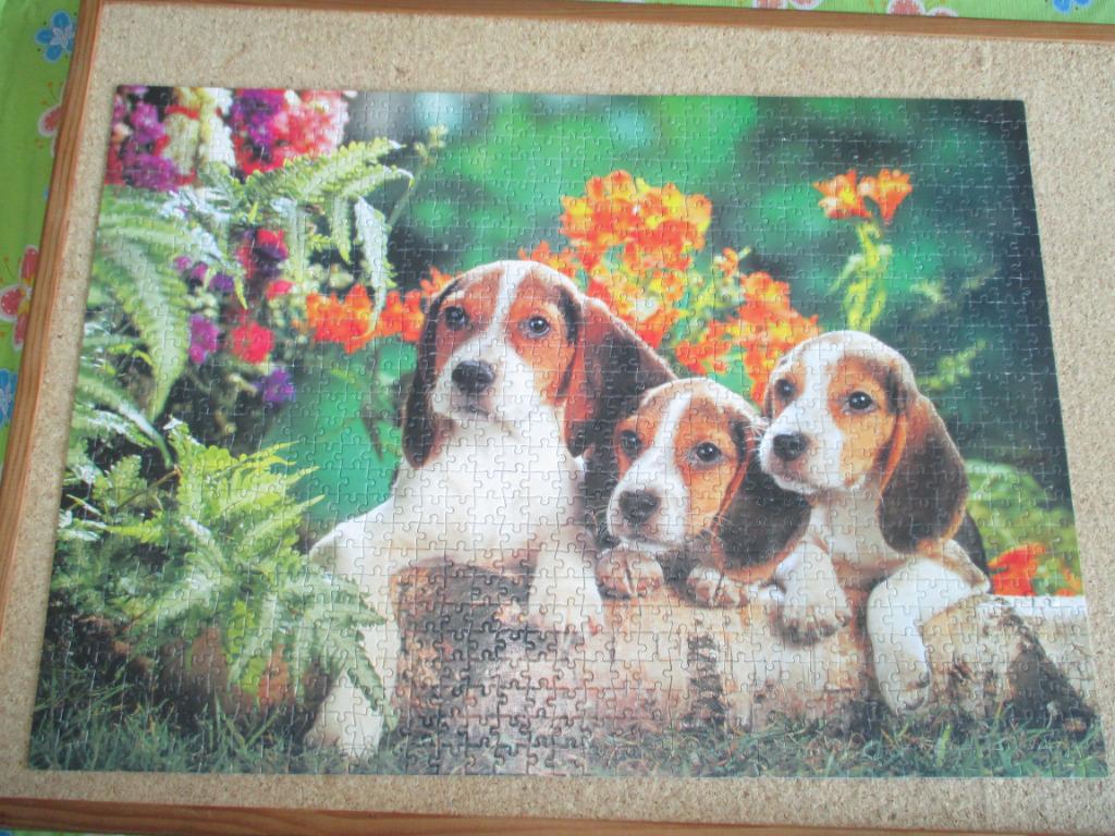 puzzel clementoni hond 1000, Enlèvement ou Envoi, 500 à 1500 pièces, Comme neuf, Puzzle