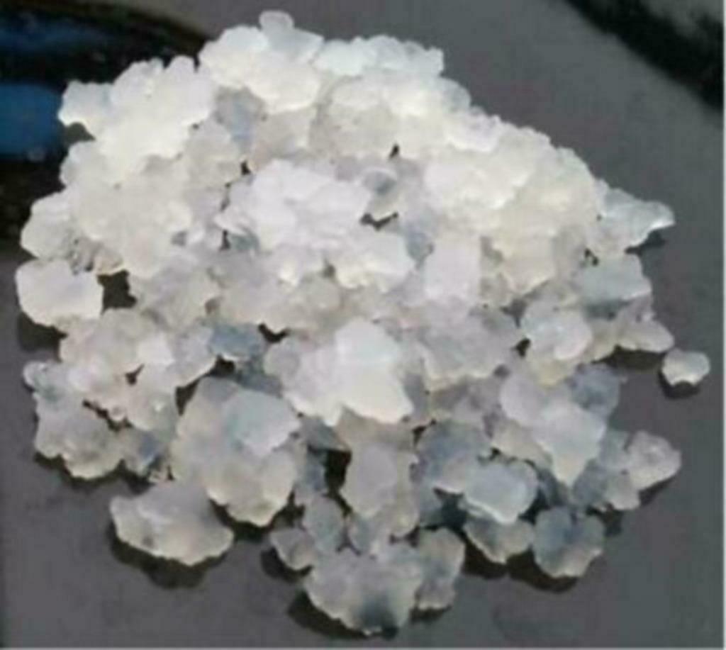 Verse Waterkefir, 25 gr/potje, Diversen, Levensmiddelen, Ophalen of Verzenden