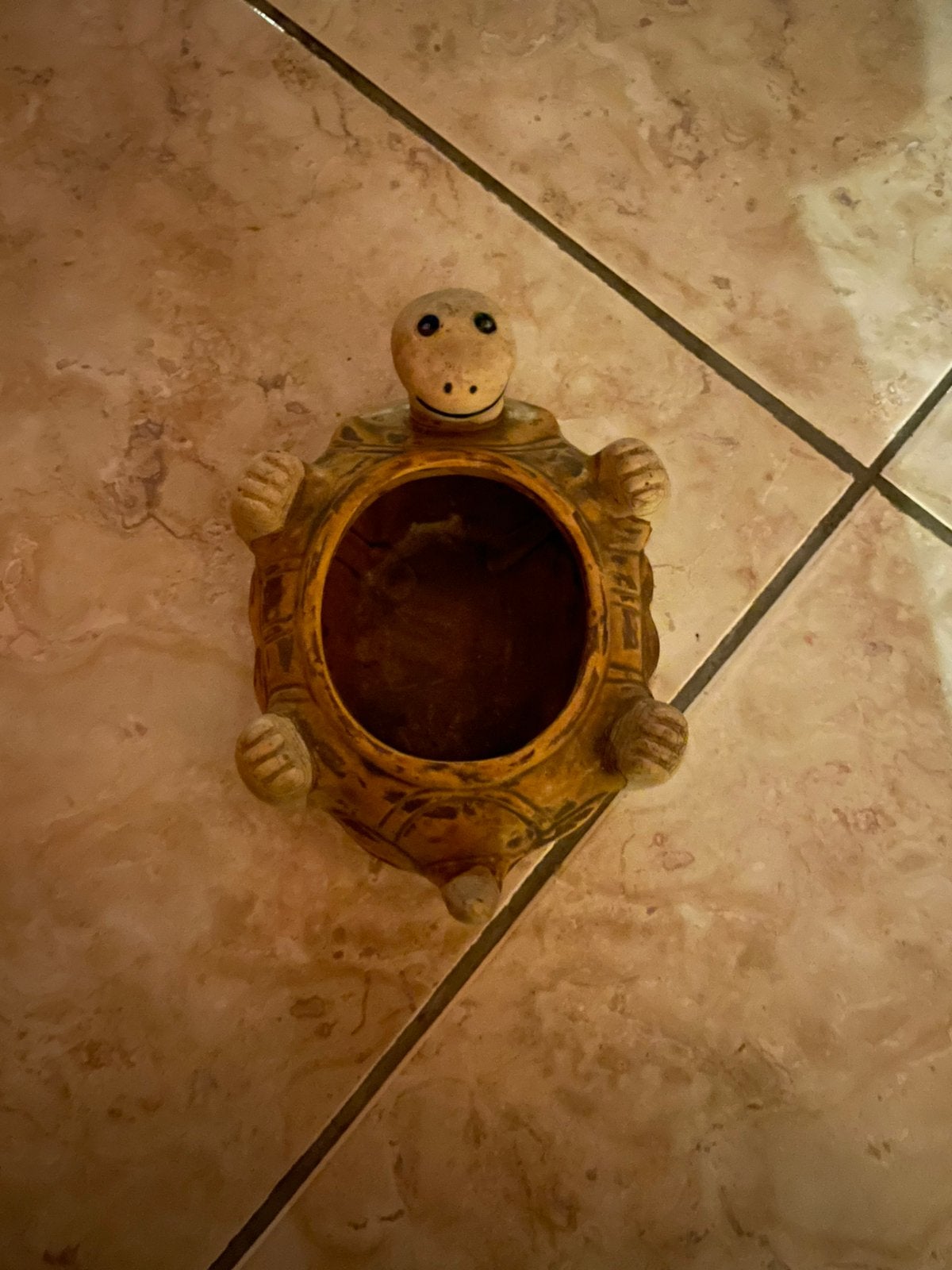 Pot a fleur tortue taiwan, Envoi