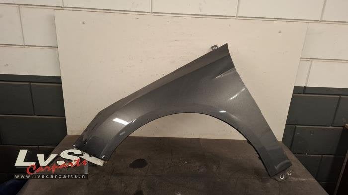 Aile avant gauche d'un Ford Focus (BF6), -, 3 mois de garantie, -, -